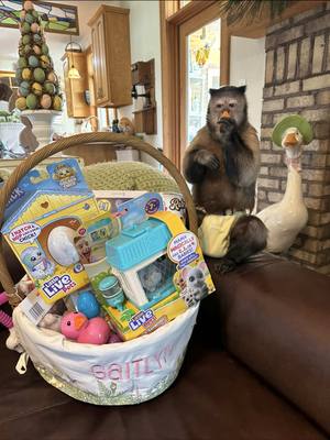 A post by @lifewithgaitlyn on TikTok caption: 2025 Easter! #gaitlynrae #easter #eastergifts #present #basket 