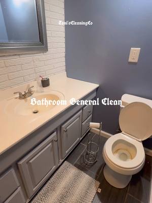 A post by @toniscleaningco on TikTok caption: @Lysol US saved the toilet as always 🙌