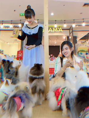 A post by @waiw220 on TikTok caption: ခြေ၂ချောင်းလေးထောက်ပီးအစာလုကြတာချစ်ဖို့ကောင်းလိုက်ကြတာကွယ်🤭🤍🖤#foryou @🇲🇲Wai & Aung🇹🇭 @🇲🇲Nanda Aung🇹🇭(ယောသားကြီး) 