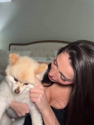 A post by @albavukaj on TikTok caption: 🐶 #fyp #dogsoftiktok #dogtok 