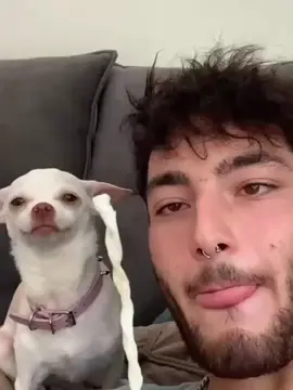 A post by @bobolili01800 on TikTok