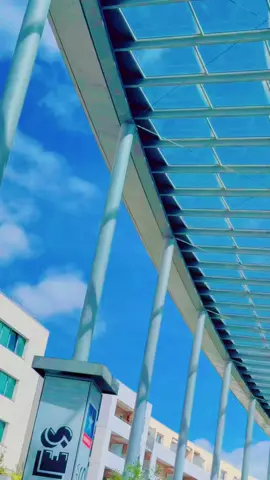 A post by @bdf_talukdar_bhai90 on TikTok