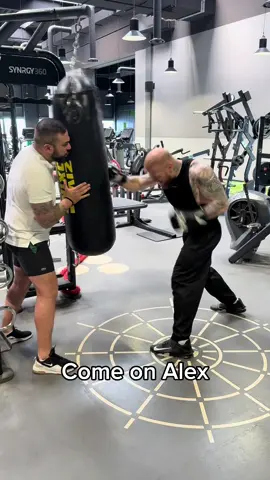 A post by @austrianbull_official on TikTok caption: I can't believe she said that... #fy  