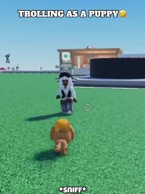 A post by @its_cxldkid on TikTok caption: Trolling as puppo #robloxfyp #micup #micuproblox #robloxvc #robloxfunny 