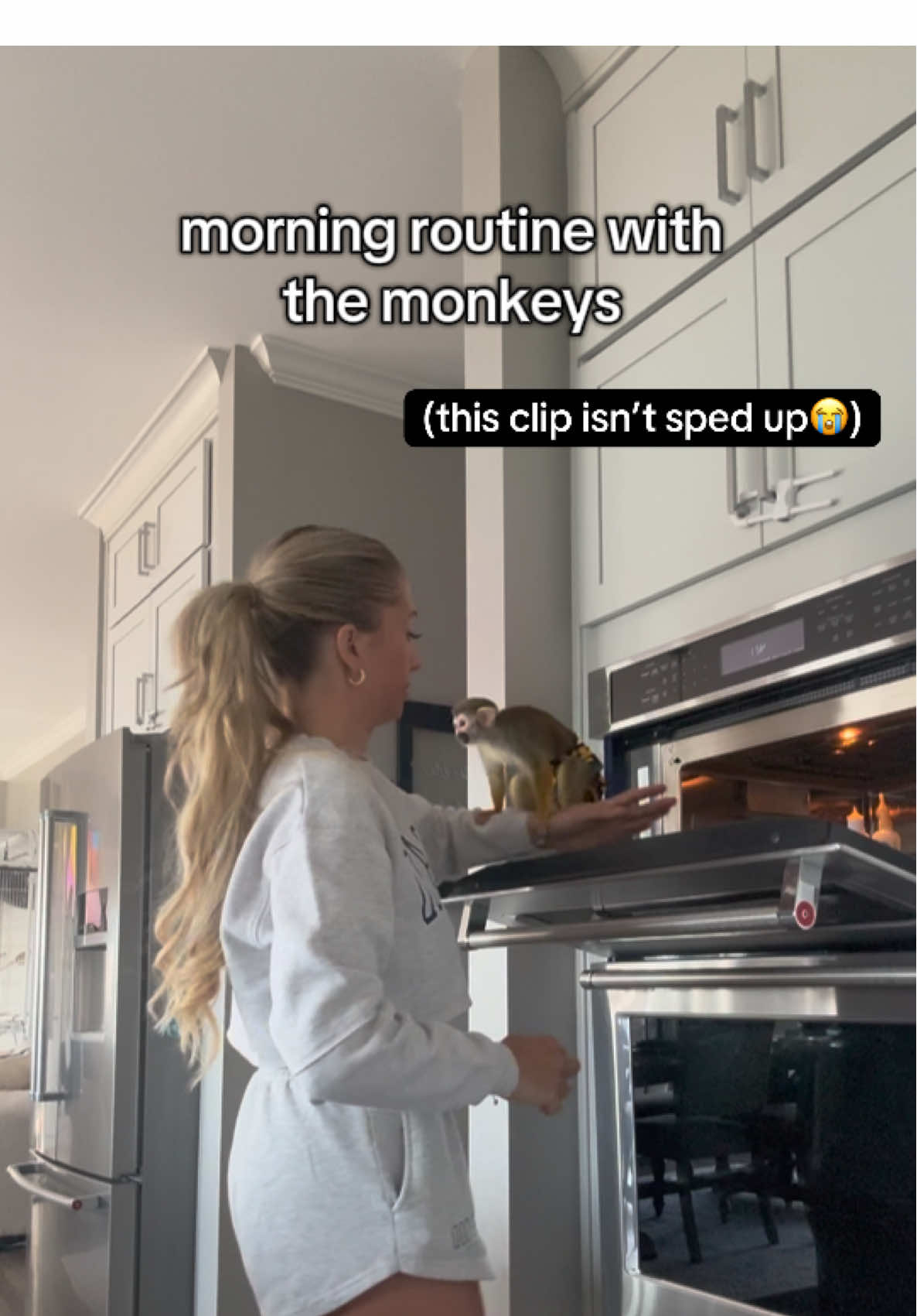 A post by @madlovesripley on TikTok caption: morning routine of owning monkeys!❤️  @cowaymega 