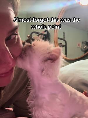 A post by @ragstorichesanimalrescu on TikTok caption: When you want to delete off the planet but your soul cat cleans your tears. Running a rescue is so draining mentally, emotionally, financially and it’s making me hate myself/ my life. Thankful for my little Wispy #fyp #foryou #foryoupage #rescue #rescuekitten #kitten #kittens #follow #followus #rescuecat #rescuekittenoftiktok #wisp #kittenlove #staystinky 