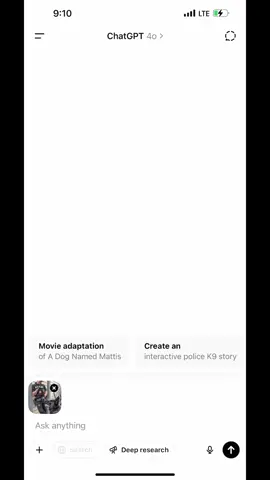 A post by @k9_mattis on TikTok caption: What do you think?