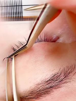 A post by @lashviewshop on TikTok caption: #popoutwithSHEIN #diylashes #lashextensions 