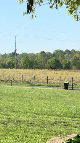 A post by @braxton_burden on TikTok