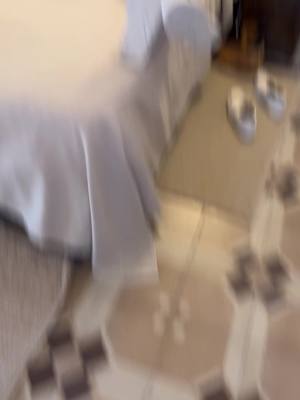 A post by @akaluuk on TikTok caption: @Stan Molemaker 