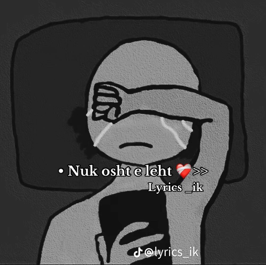 A post by @vanesaleon5 on TikTok