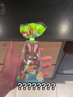 A post by @levraibouseuhh on TikTok caption: Sacré lapin 