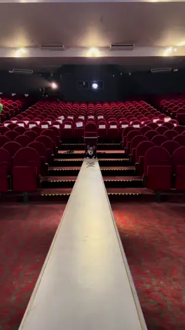 A post by @ileauu on TikTok caption: Monday qui monte aboyer sur la scène de la Nuit de la Pub organisée par @Sup de Pub Bordeaux, c'est son prime ever je veux rien savoir mdrrrrrr Si vous êtes à la recherche d'études en influence, en créa, en digital ou peu importe - ils ont littéralement 20 spécialités. Allez checker l'école Sup de Pub ! Même pas besoin de déménager jusqu'à Paris pour vos études car il y'a des campus partout (petite préférence personnelle pour le campus de Bordeaux 🥹🩵)  Collaboration commerciale