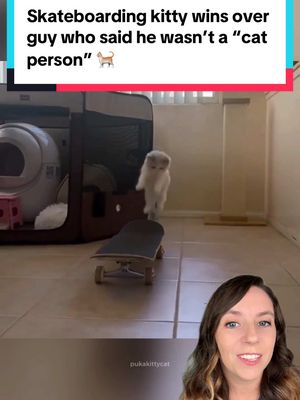 A post by @thatgoodnewsgirl on TikTok caption: He said he wasn’t a “cat person.” 🐈🚫  And Puka wasn’t looking for a human cat dad… she was looking for a skate partner. 🛹🐾 Within a week of arriving in her new home, this fearless little kitten taught herself how to ride a skateboard. 🛹 And in the process, she helped her new human rediscover a piece of himself he thought he’d left behind. 💜 See more from Puka the skateboarding cat: @Puka 😸🛹  📸 pukakittycat #cat #cats #Skateboarding #skate #skateboardingcat #ragdoll #kitten #kittens #animals #goodnews