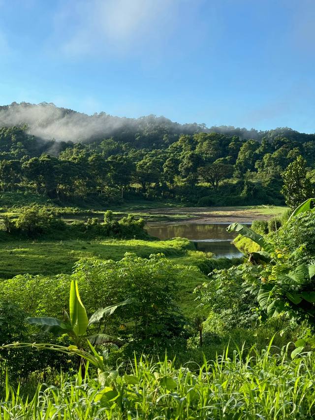 A post by @sjbleau on TikTok caption: Posting about Fiji on my instagram @ sj.bleau 🦖