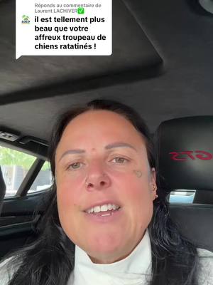 A post by @thewalkinkmum on TikTok caption: Réponse à @Laurent LACHIVER✅️ bonne journée #chat #chihuahua @karine @𝐓𝐡𝐞𝐖𝐚𝐥𝐤𝐈𝐧𝐤𝐃𝐞𝐚𝐝 