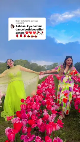 A post by @bmlabb01 on TikTok caption: Replying to @kalpana gurung  Thankyou 🙏💞 #mrsuniverse #nepal #2023 #2024 👑 @USE THESE AUDIOS💫 @tiktok @BollywoodVibes #tulipfields #tulleysfarm #npltiktok🇳🇵  
