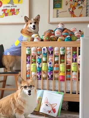 A post by @hammyandolivia on TikTok caption: Their priorities have changed now that @Squishmallows has dog toys. Chew Mees by Squishmallows are invading Chonkfest! Collect all of the fun personalities while you still can at your local @target and don't miss Chonkfest on May 17th! The link for tickets (and Chew Mees) are in our bios! #squishmallows @Jazwares #chonkfest #jazwarespartner *no babies were left unattended or actually climbing trees. We aren't psychopaths. We just love chew toys a bit too much*