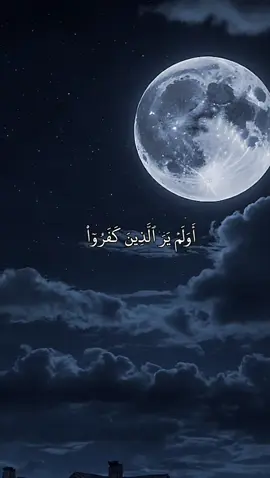 A post by @qu_ran_n on TikTok caption: #qu_ran_n 