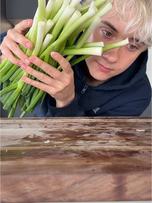 A post by @logagm on TikTok caption: Never enough green onions 