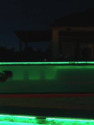 A post by @ultrapools on TikTok caption: Happy Thursday 💦 Let us know when you're ready 💦 