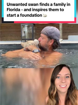A post by @thatgoodnewsgirl on TikTok caption: She was rejected from the moment she hatched. 💔 But now Lola the swan has a forever home, a lake to call her own, and two humans who’ve reshaped their entire lives to make sure she always knows she’s loved. 🦢 Andrew and PJ didn’t just rescue Lola… they went on to found Friends of a Feather, a foundation that now helps protect and rehabilitate swans and waterfowl all across Central Florida. ✨ Find Friends of a Feather here: friendsofafeatherflorida (IG) And see more from Lola, Andrew and PJ here: @Lola The Swan  #swans #animals #waterfowl #wildliferescue #ThatGoodNewsGirl #SwanRescue #wildlife #FriendsOfAFeather #WildlifeRehab #goodnews