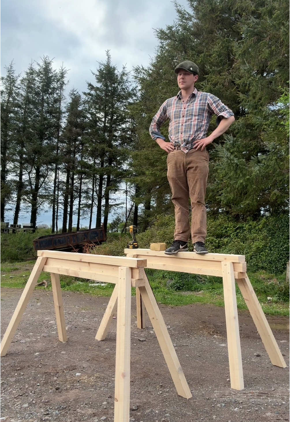 A post by @pintofplane on TikTok caption: Sitka Spruce #ireland #timber #wood #sitkaspruce #wildlife #biodiveristy #natire #forrests 