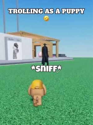 A post by @its_cxldkid on TikTok caption: Trolling as a puppy #robloxfyp #micup #micuproblox #robloxvc 