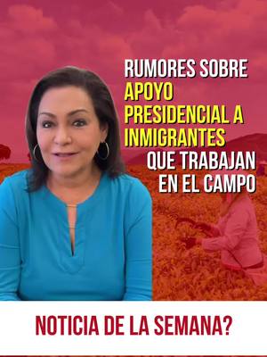 A post by @abogadaalmarosanieto on TikTok caption: 🌱 ¿Por fin llega el respaldo? #Inmigración #TrabajadoresDelCampo #VocesDelSur #DignidadMigrante #NoticiasInmigrantes #EstadosUnidos #Inmigracion #Immigration