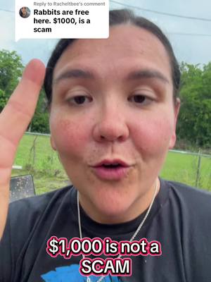 A post by @mrs_tink on TikTok caption: Replying to @Racheltbee #rabbits #ffa #homestead #food #vegan #farm #ranch #meatrabbits #foodtiktok #scam #chicken 