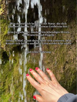 A post by @traumkanal on TikTok caption: #natur #erwachen #intuition #fürdich #gottesnahrung #heilung #innerwork #innerhealing #gesundheit #bewusstsein 