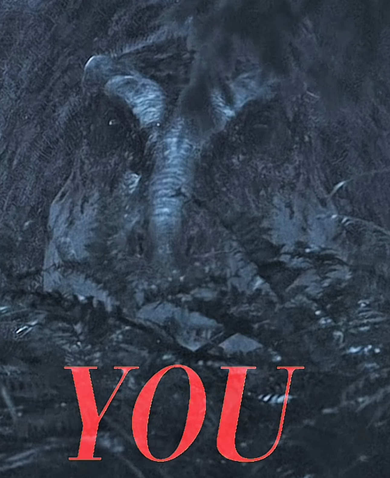 A post by @the_rat_cooker on TikTok caption: The voice of the audio in the background of the beginning is by [ @Lakota ] also the clip for this edit is from prehistoric planet also hope it’s okay because I haven’t posted anything about dinosaurs for sometime now #prehistoricplanet #trex #tyrannosaurusrex #dinosaur #dinosauredit @GigZZanotoZauruZ @MIXMHO 🦖🦕 DINOSAUR 