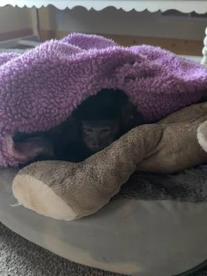 A post by @lifewithgaitlyn on TikTok caption: Morning I’m not ready to get up! Happy Weekend! 