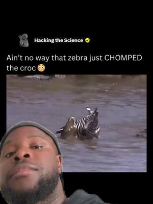 A post by @sonny_spam05 on TikTok caption: #devinelapersonne Le zèbre il a tout whippin 