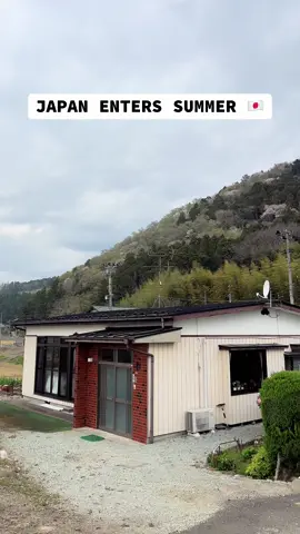 A post by @arif_ullah_king on TikTok