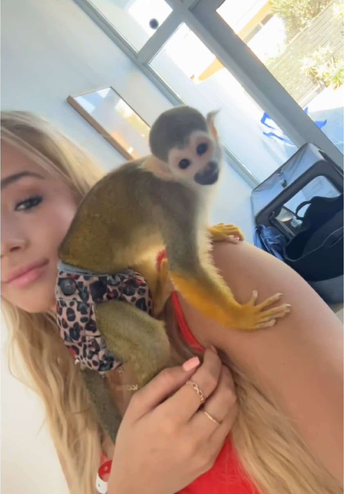 A post by @madlovesripley on TikTok caption: monkey proofing isn’t always easy 