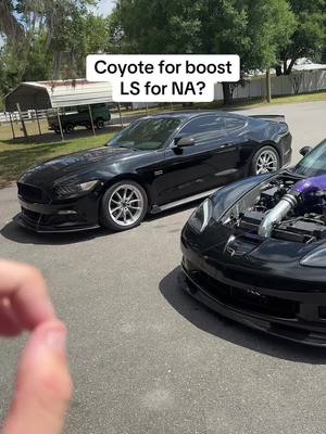 A post by @stangryafterdark on TikTok caption: Sound wise we already know who wins😂 #stangry #corvette #mustang #boosted #carcommunity #carsoftiktok #moxyperformance #maxeffort #musclecar #chevy #ford #fyp 