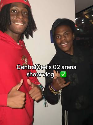 A post by @incogwhydee on TikTok caption: Gotta give bro his flowers man🙌🏽 @CentralCee #fyp #centralcee #whydee #02arena 