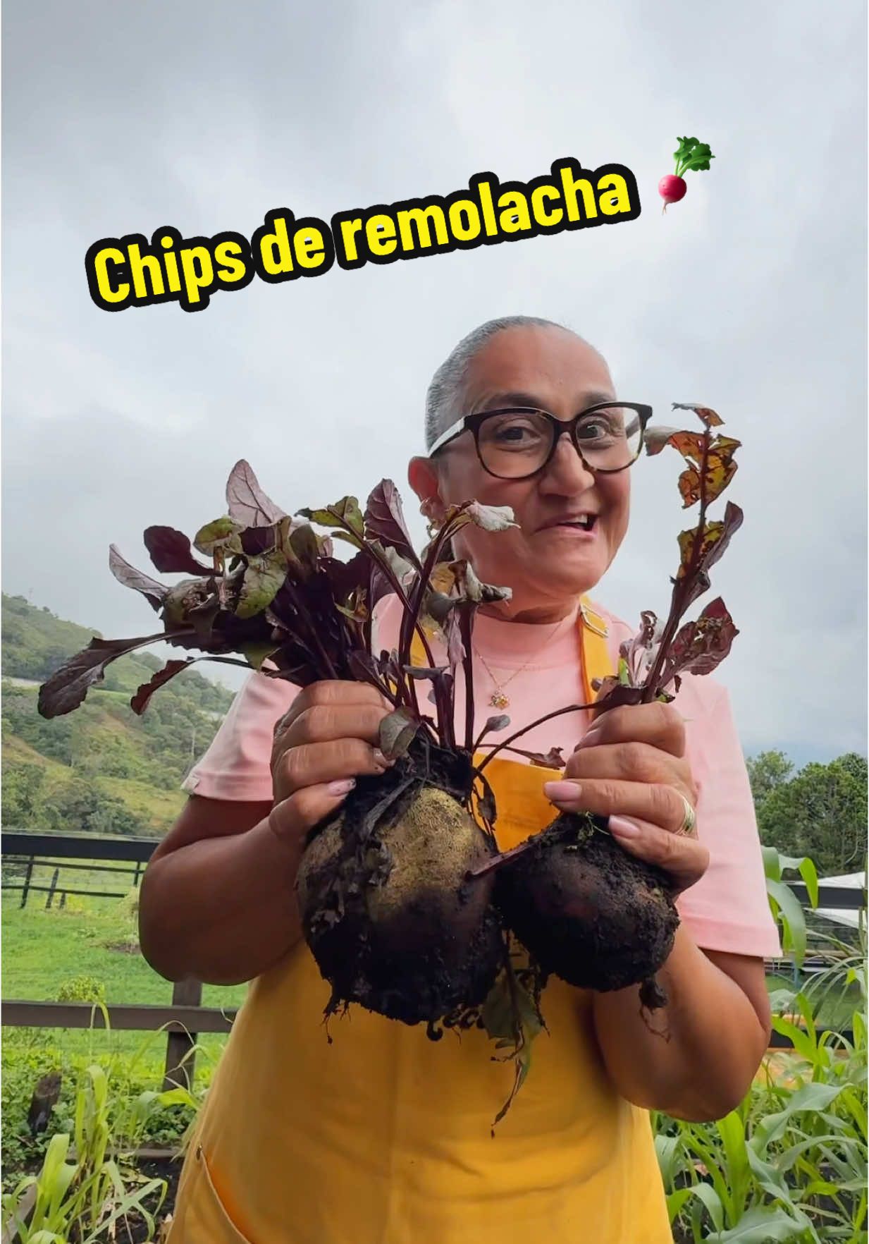 A post by @lamamadelasrecetas on TikTok caption: Repliqué mi primera receta poniendo a prueba la nueva fórmula de Ariel Triple Poder* y remueve hasta manchas difíciles! 🥹🤩#ArielTriplePoder #Publicidad