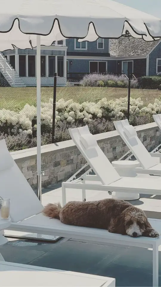 A post by @roveconcepts on TikTok caption: Our favorite outdoor moments start here!  #RefinedLuxuryLiving #RoveConcepts #Fyp #OutdoorFurniture #Summer 