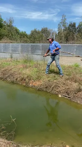 A post by @mattwrightau on TikTok caption: Name this Croc some of the cracking names that has already come through  Godzilla  Croc Zila  Juggernaut  Terminator  BURT  let me know your thoughts 