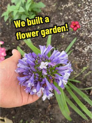 A post by @2guysandsomeland on TikTok caption: I’m a flower daddy now 🌹 #foryou #flowers #garden #greenhouse #planttok #diy 