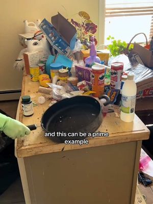 A post by @nottheworstcleaner on TikTok caption: Can’t believe it’s been an entire year since I cleaned Kitten Palace and clapped back to Jeanie 🥹💕 #onthisday #cleantok #mentalhealthmatters 