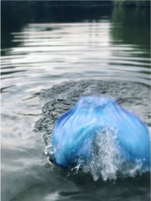 A post by @mermaid_eclipse on TikTok caption: 💦✨🧜‍♀️ I could spend all day in the relaxing lakeside. Free from human troubles.  #fyp #foryou #mermaid #mermaids #tranquility #relaxation #lake #swimming #swim #weekend #capecali #capecalimermaid #transformation #mermaidtail #fypシ #fantasy #h2o #h2ojustaddwater #nature #forest #maine #newengland #mermaidsoftiktok #vibe #vibing #travel #traveling #photography #friday #paradise  🧜‍♀️ @Cape Cali 