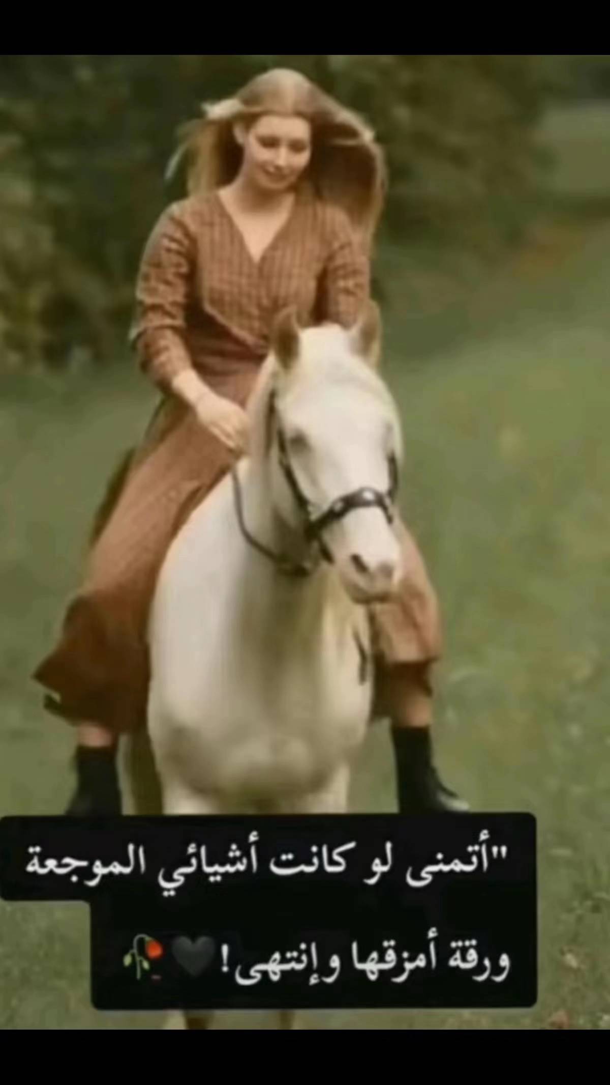 A post by @stevaa2 on TikTok caption: #erinnerung 