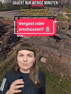 A post by @keine.erinnerungskultur on TikTok caption: Antwort auf @xxrollbertxx Die Antwort auf die Frage ist grausam und "praktisch"...
