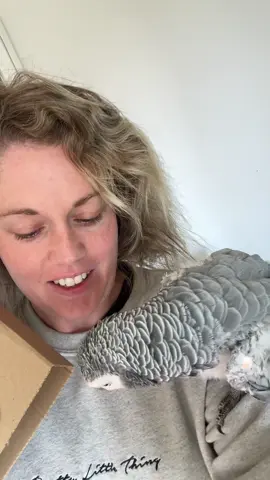 A post by @shelbythemacaw on TikTok caption: Today is your last chance as finding a macaw feather in your parcel, nabbing you a free bag of ethical, speciality coffee. Of course ALL orders are sealed with Sammie’s headbutt of approval #theaviarycoffeeshop #EthicalCoffee #TheAviaryCoffee #macaw #BirdFriendlyCoffee #shelbythemacaw #ScarletMacaw #africangreyparrot 