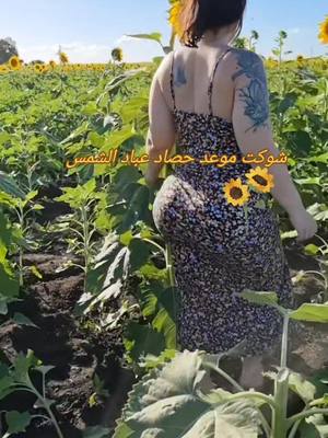A post by @altaghier on TikTok caption: #عباد #الشمس #🌞🌞🌞 #🍑 #تفاح #مشمش #عناية_بالشعر #🍑 