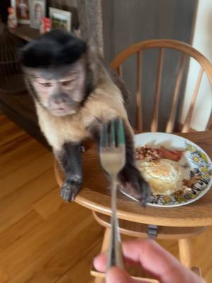 A post by @lifewithgaitlyn on TikTok caption: Morning! 