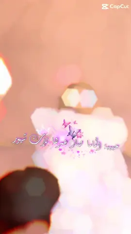 A post by @deljansla on TikTok